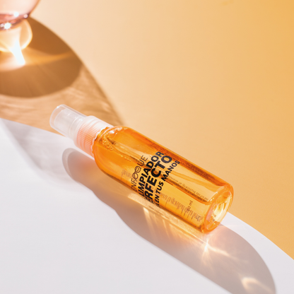 El Limpiador Perfecto